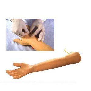 Advanced elderly venipuncture training arm model